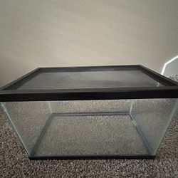 Aquarium Fish Tank Or reptile Terrarium 10 Gallon 