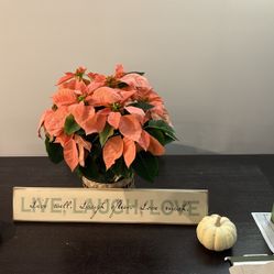 Home Decor Live Laugh Love