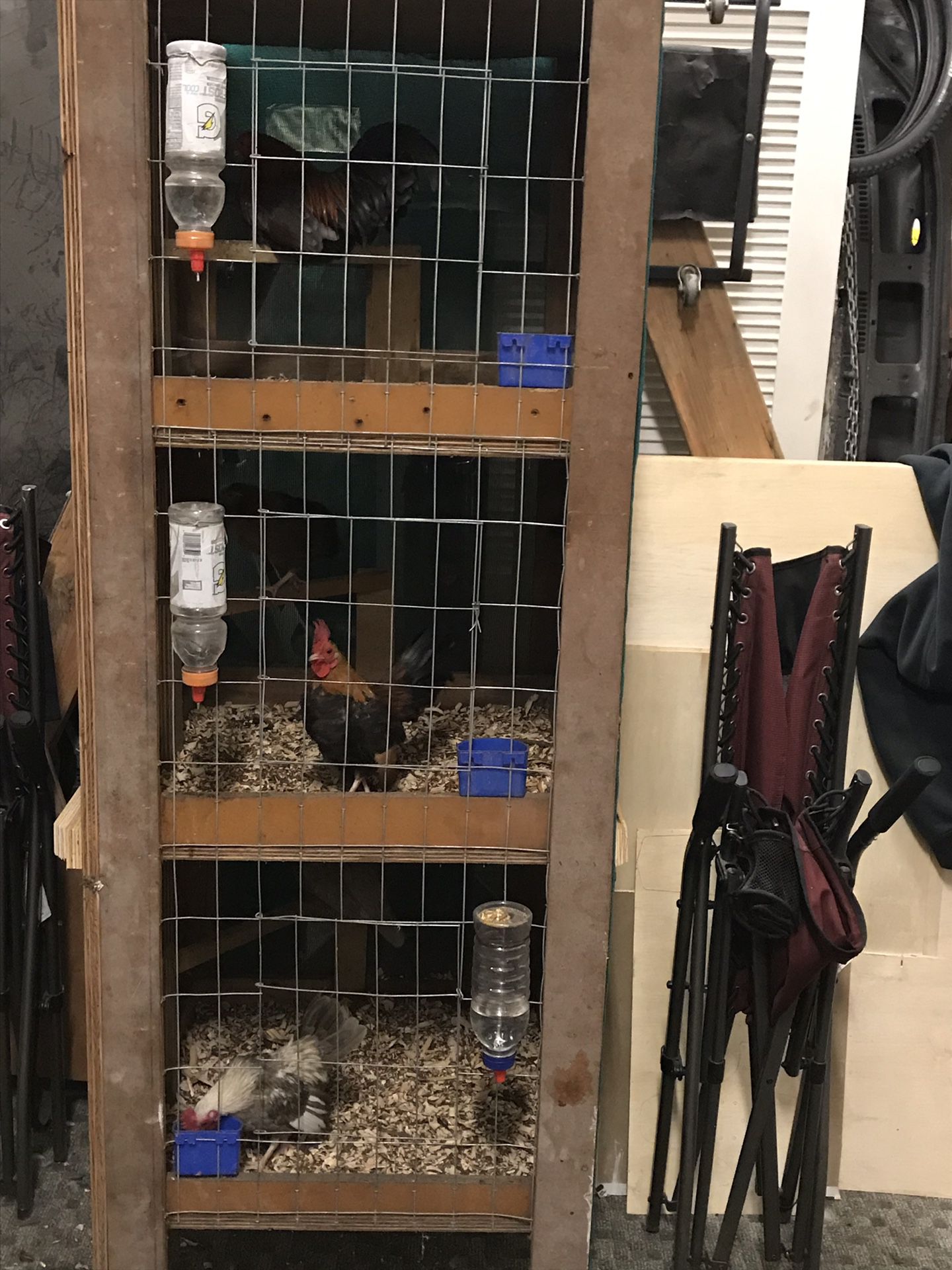 Small chicken cages