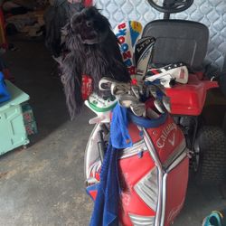 CALLAWAY STAFF BAG PGA EVENT *BAG ONLY*