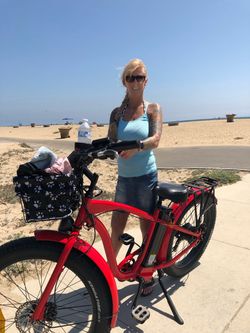 Electric bike