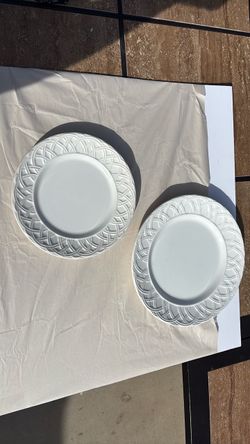 Dinner plates