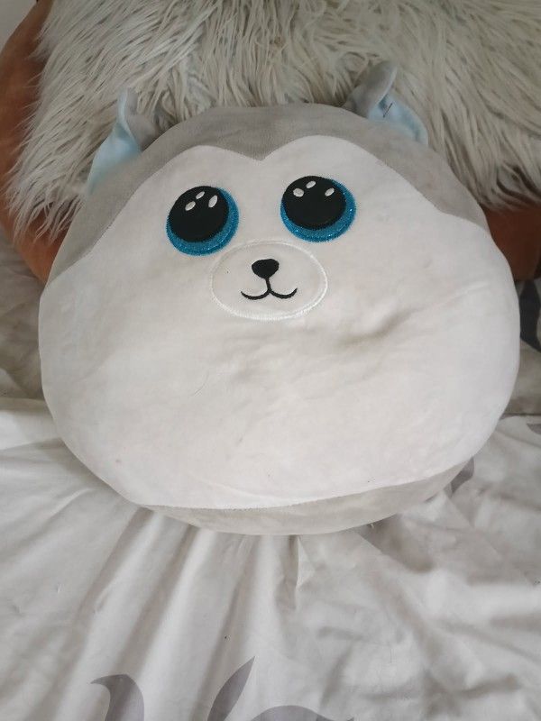 SQUISHIBOO TY
