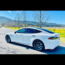 Tesla Model S P100D (Plaid)
