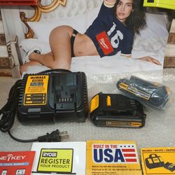 NEW DEWALT 20V STARTER KIT 2 BATTERIES AND FAST CHARGER 