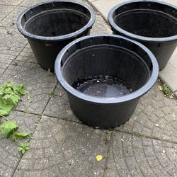 Large 5 Gal Plastic Planters