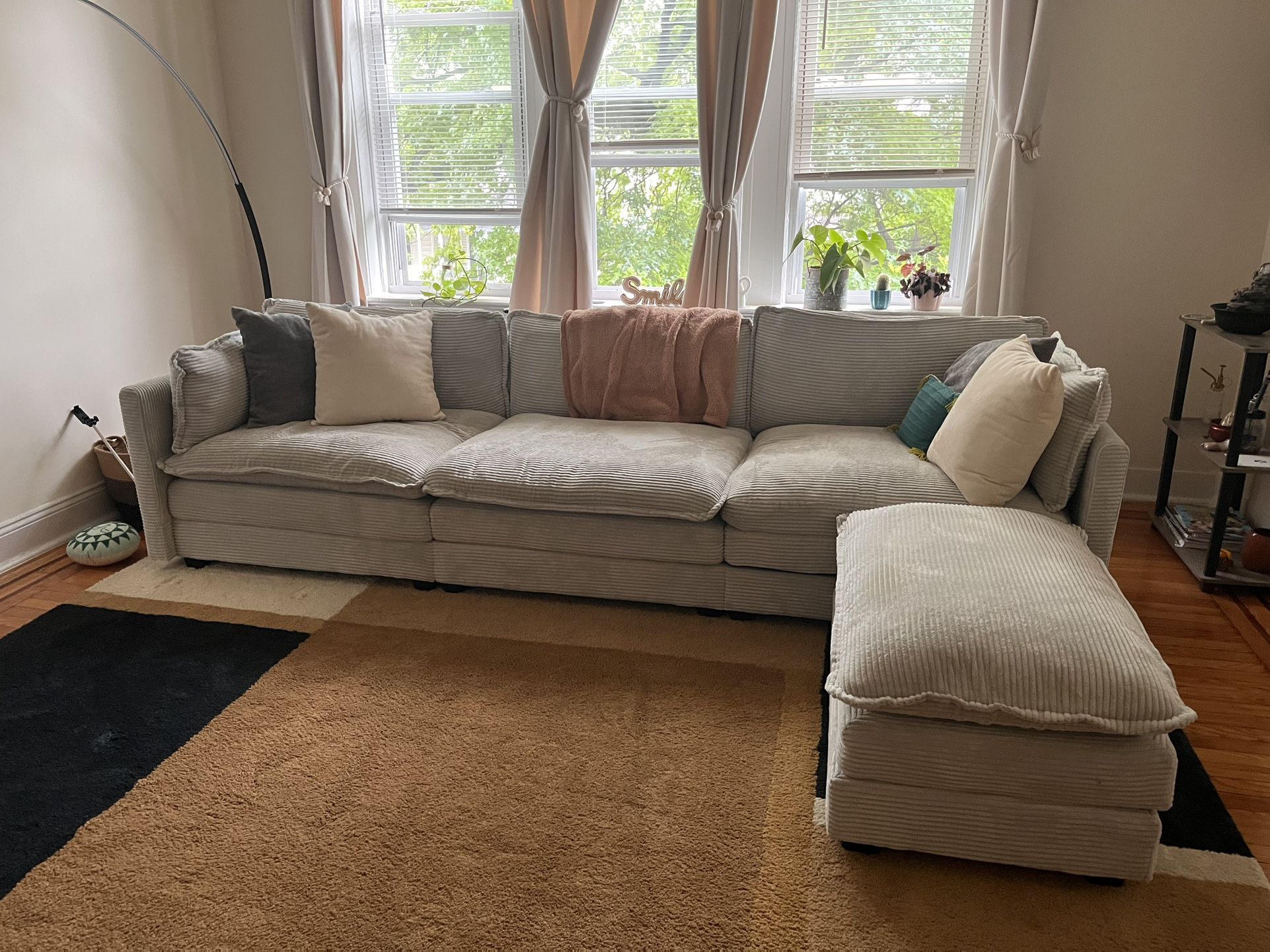Light Grey Couch And Ottoman, With Rug