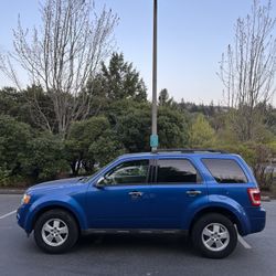2011 Ford Escape XLT
