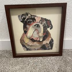 Bulldog Picture 