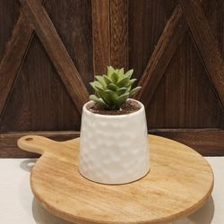 Handmade Ceramic Succulent 