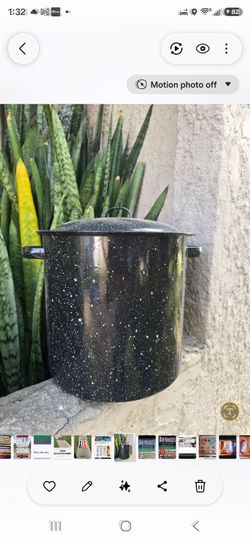 Stock pot