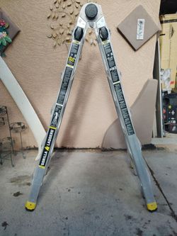 22 Foot Gorilla Ladder