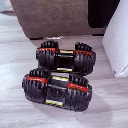 Dumbbell Bowflex 
