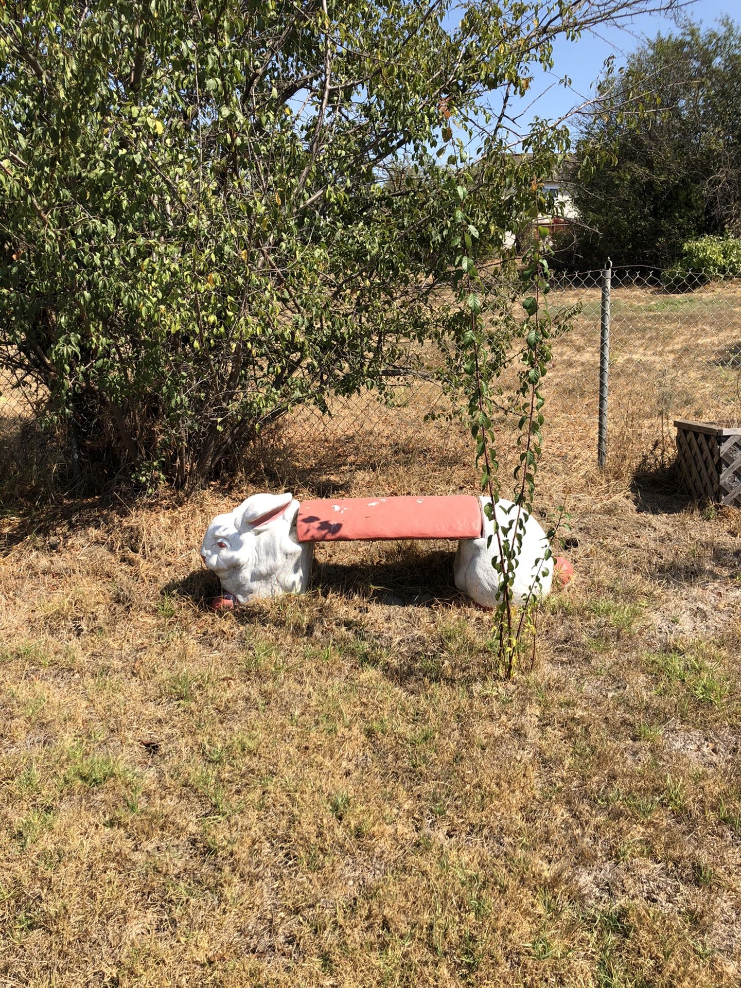 62 L 21tall inch rabbit bench