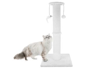 Cat Scratch Post