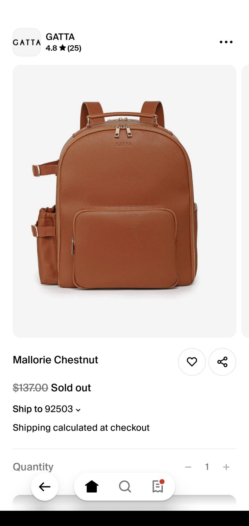 Camera & Lenses Backpack