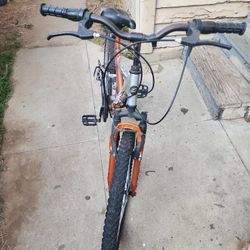 Mountain Bike