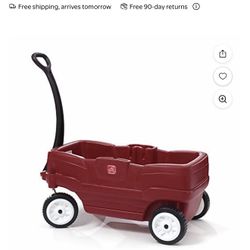 Radio Flyer 2 Seater
