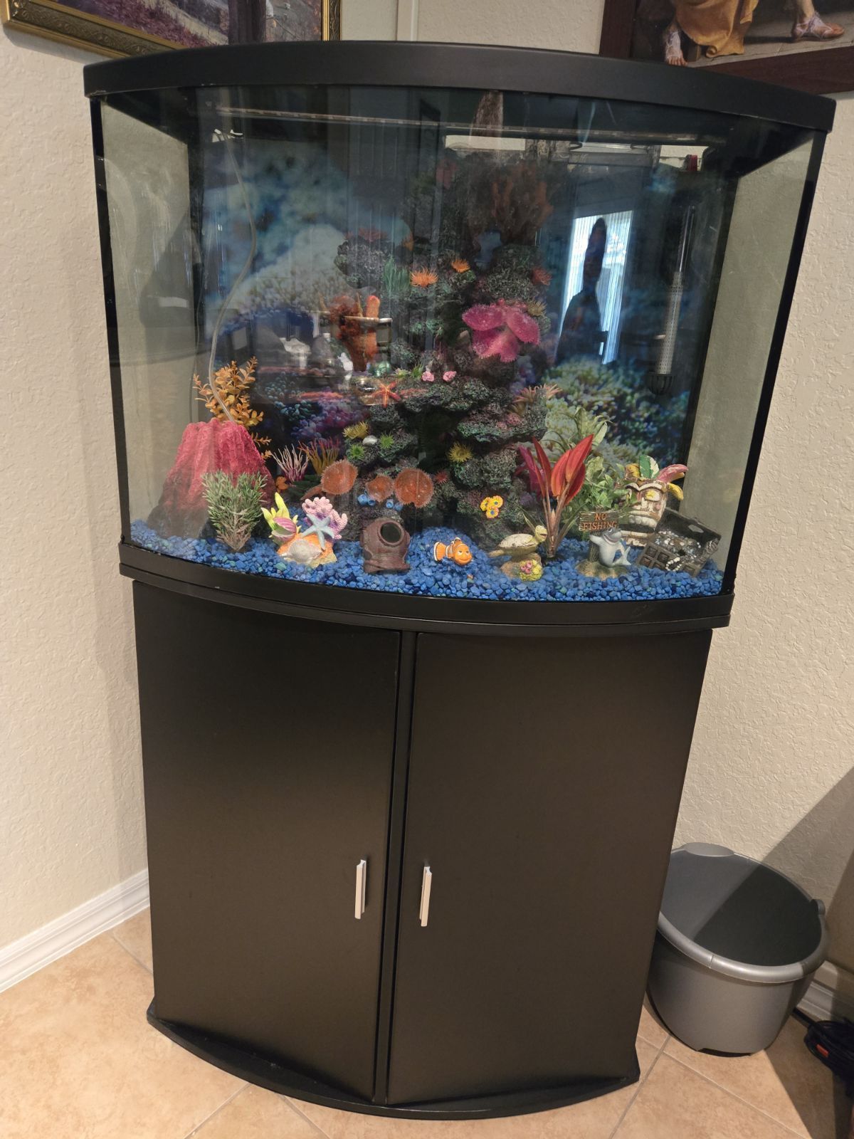 Fish Tank