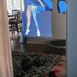 Proform Workout Mirror