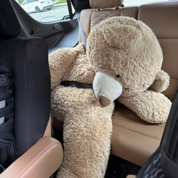 Big Teddy Bear