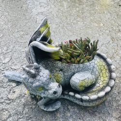 🐉 Sleeping Dragon Planter W Succulents 🪴 