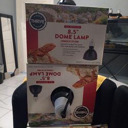 Package For Your Reptile!!