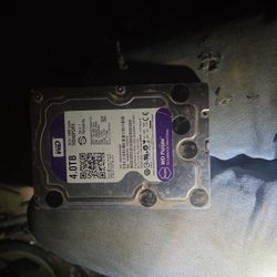 Western digital 4.0 terabyte hard drive