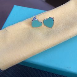 Turquoise New Earrings $20