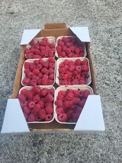 Raspberries