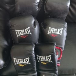 Everlast Boxing Setup