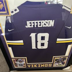 Minnesota Vikings 