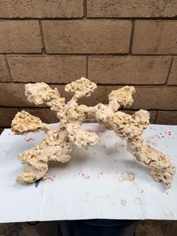 Reef rock scape