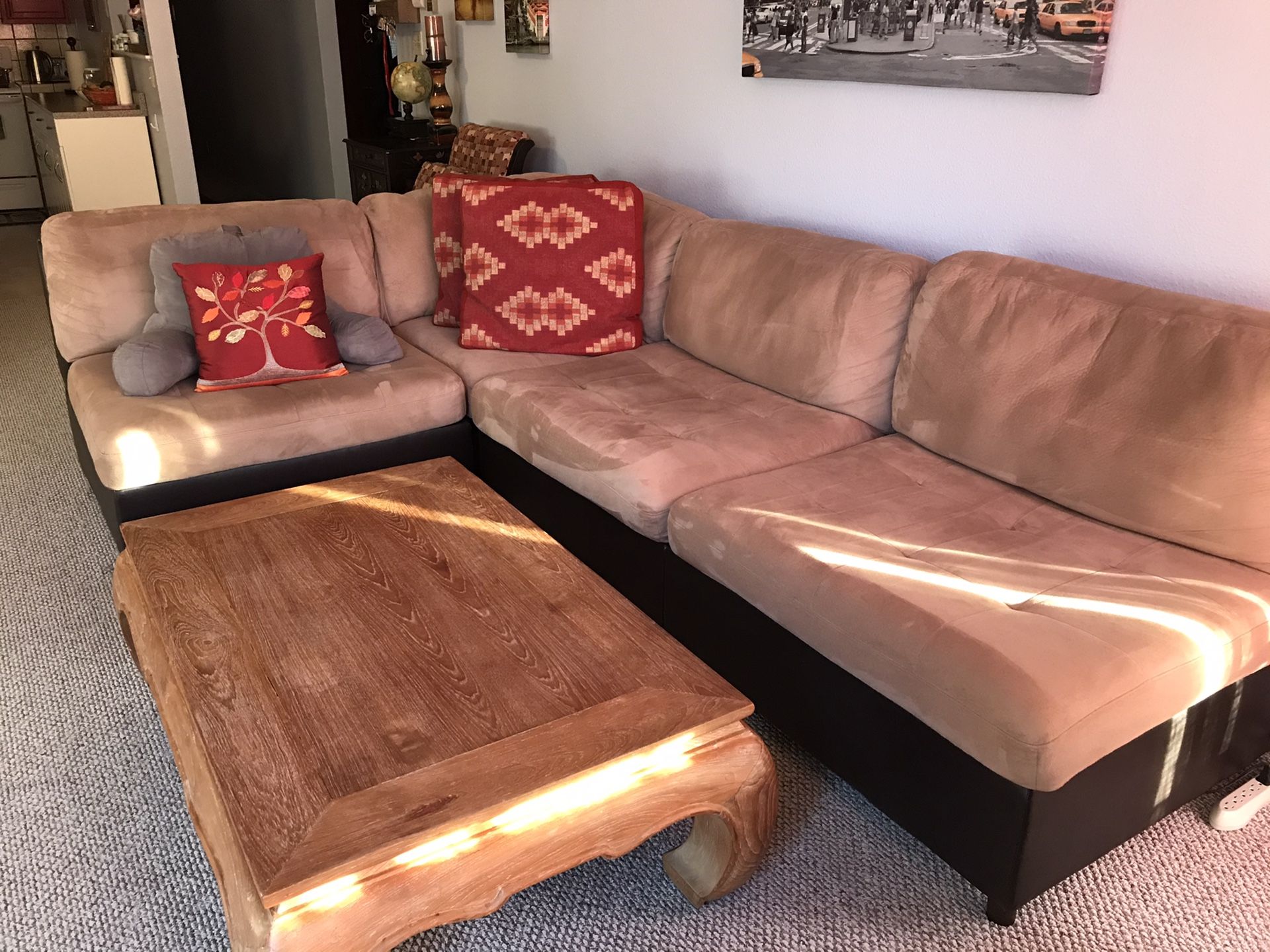 Sectional Couch