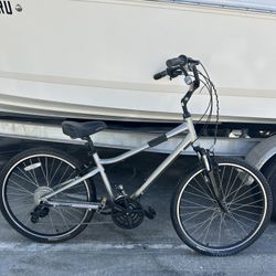 Giant Cruiser Bike 