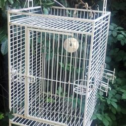 Parrot Cage 