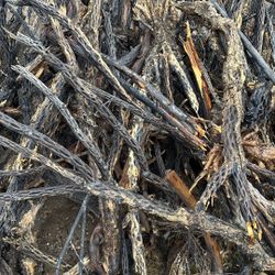 Cholla | Custom | All Sizes, Shapes, Lengths | Aquarium | Terrarium | Woodwork 