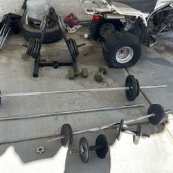 Weights With 2 Barbells And Curl Bar And 2 Adjustable Dumbbells