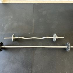 Barbell And Curl Bar Weights Included