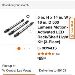 DeWalt motion sensor lights