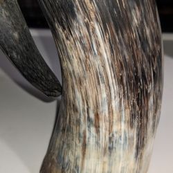 Viking Drinking Horn Mug