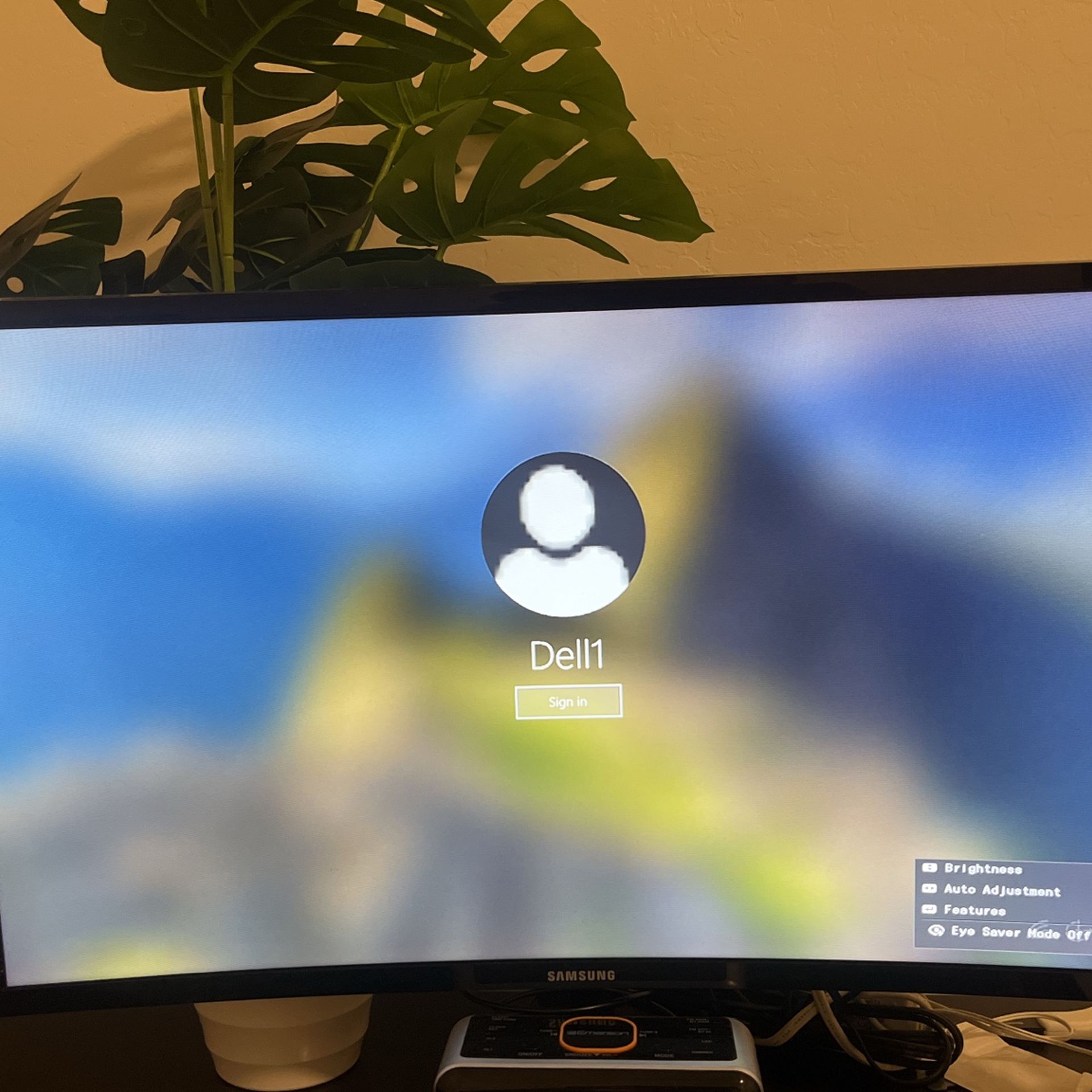 Samsung Curved Monitor