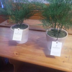 Artificial Plant
