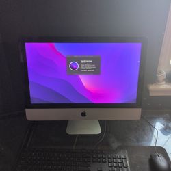 21.5 in iMac