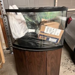 Saltwater Fish Tank 