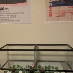 10 Gallon GlassTanks 