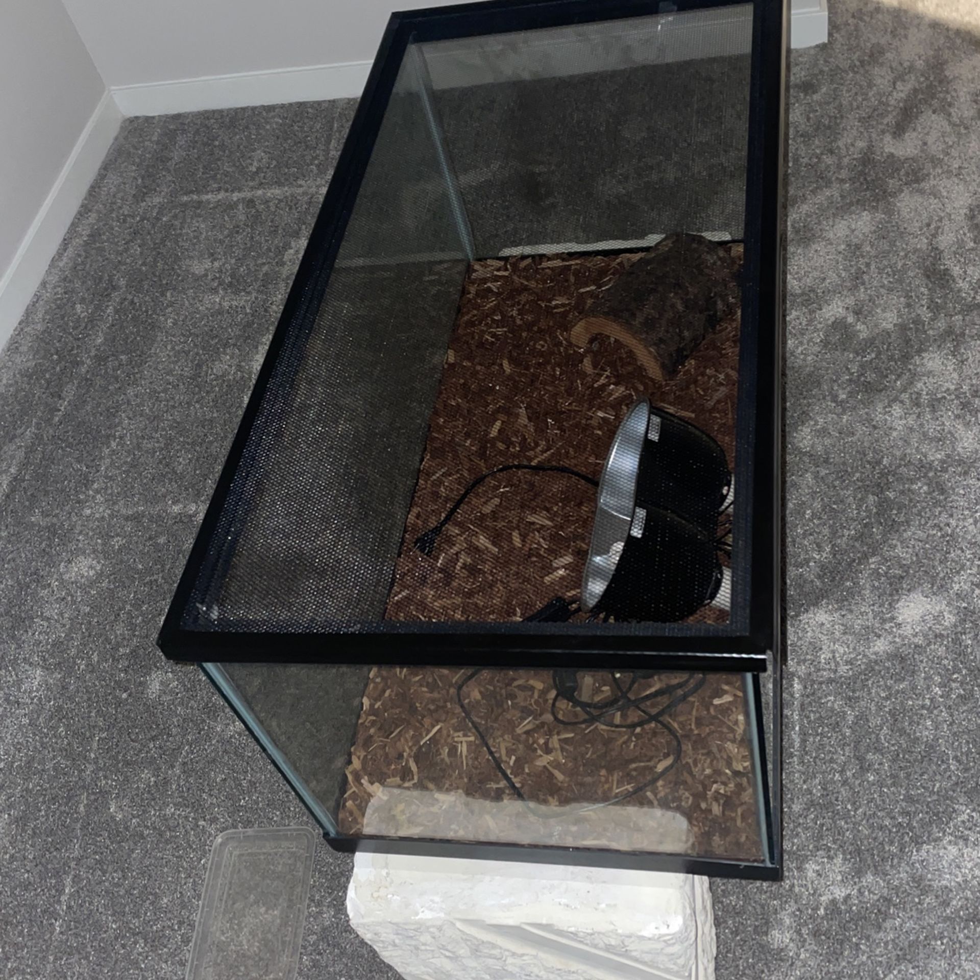 40gal Tank With Heating lamp If Needed