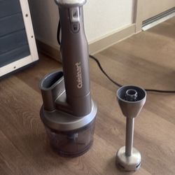 Consonant food processor