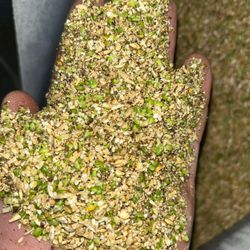 Non-GMO Corn&Soy Free Livestock & Poultry Feed