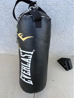 Everlasting 40lb heavy bag w prospect youth gloves included